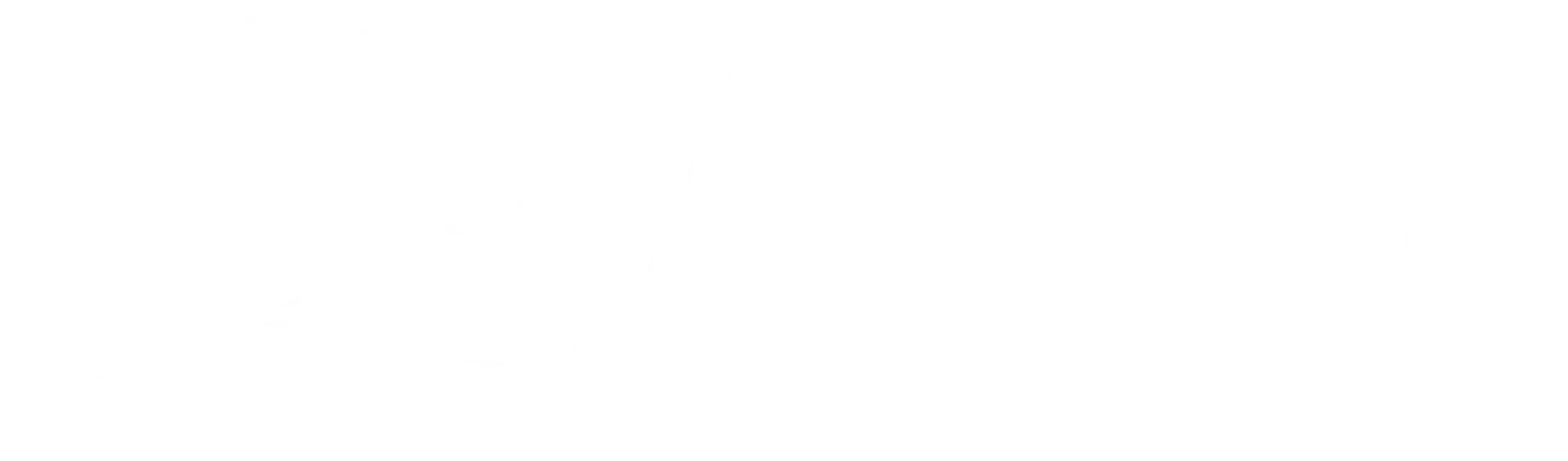 LSW Logo Light